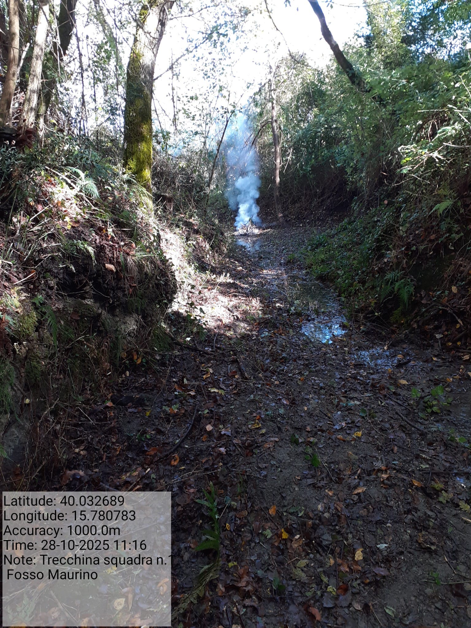 Galleria Fotografica Immagine