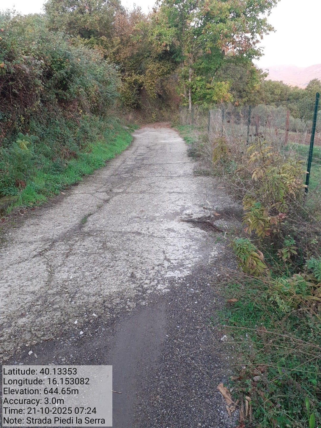 Galleria Fotografica Immagine