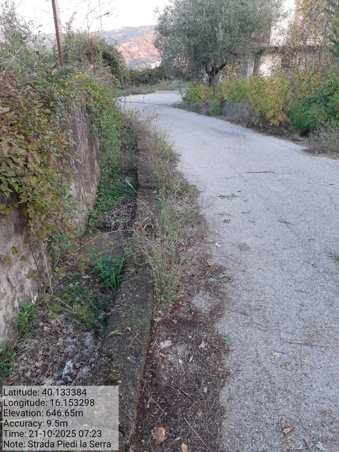 Galleria Fotografica Immagine