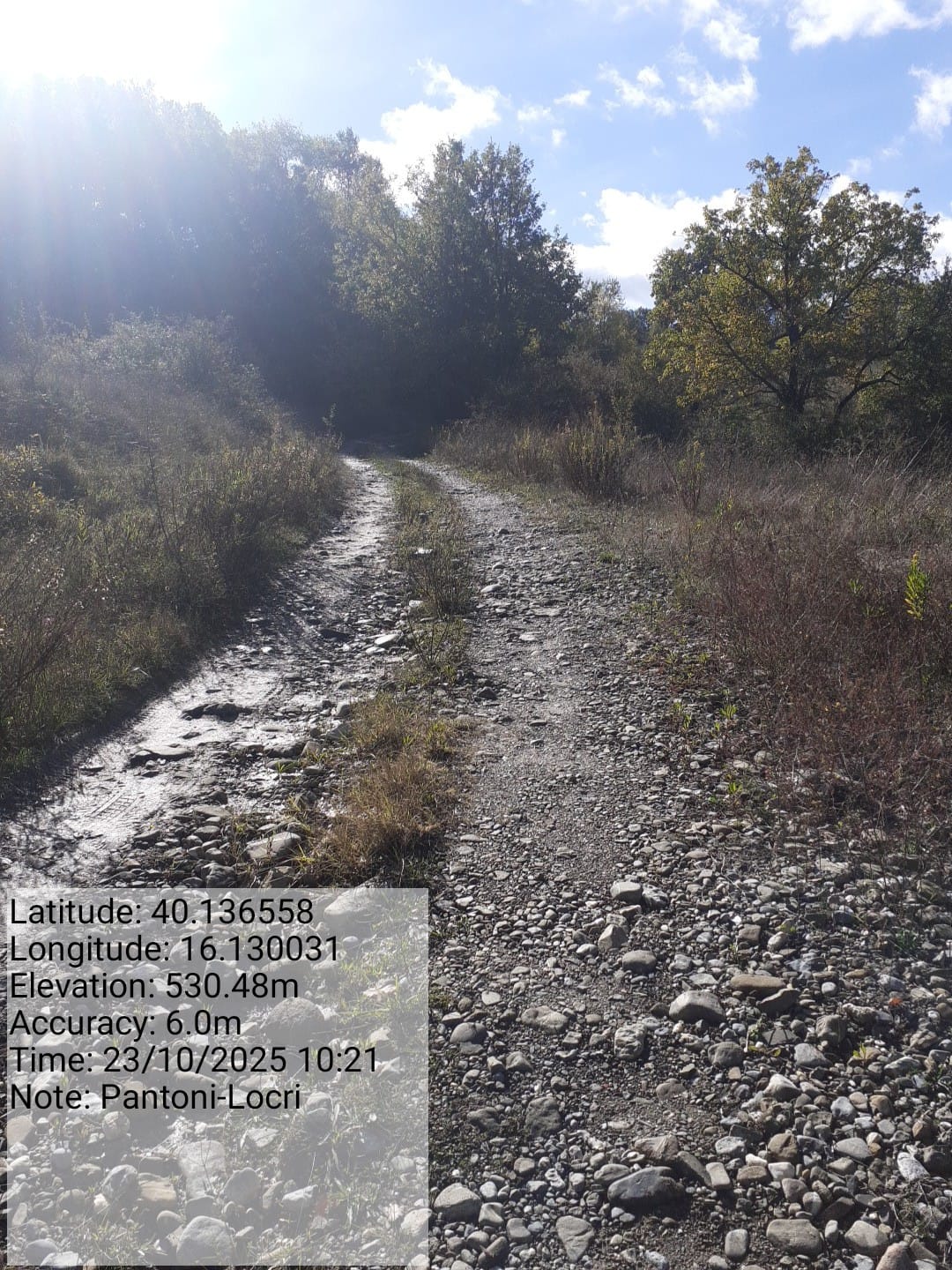 Galleria Fotografica Immagine