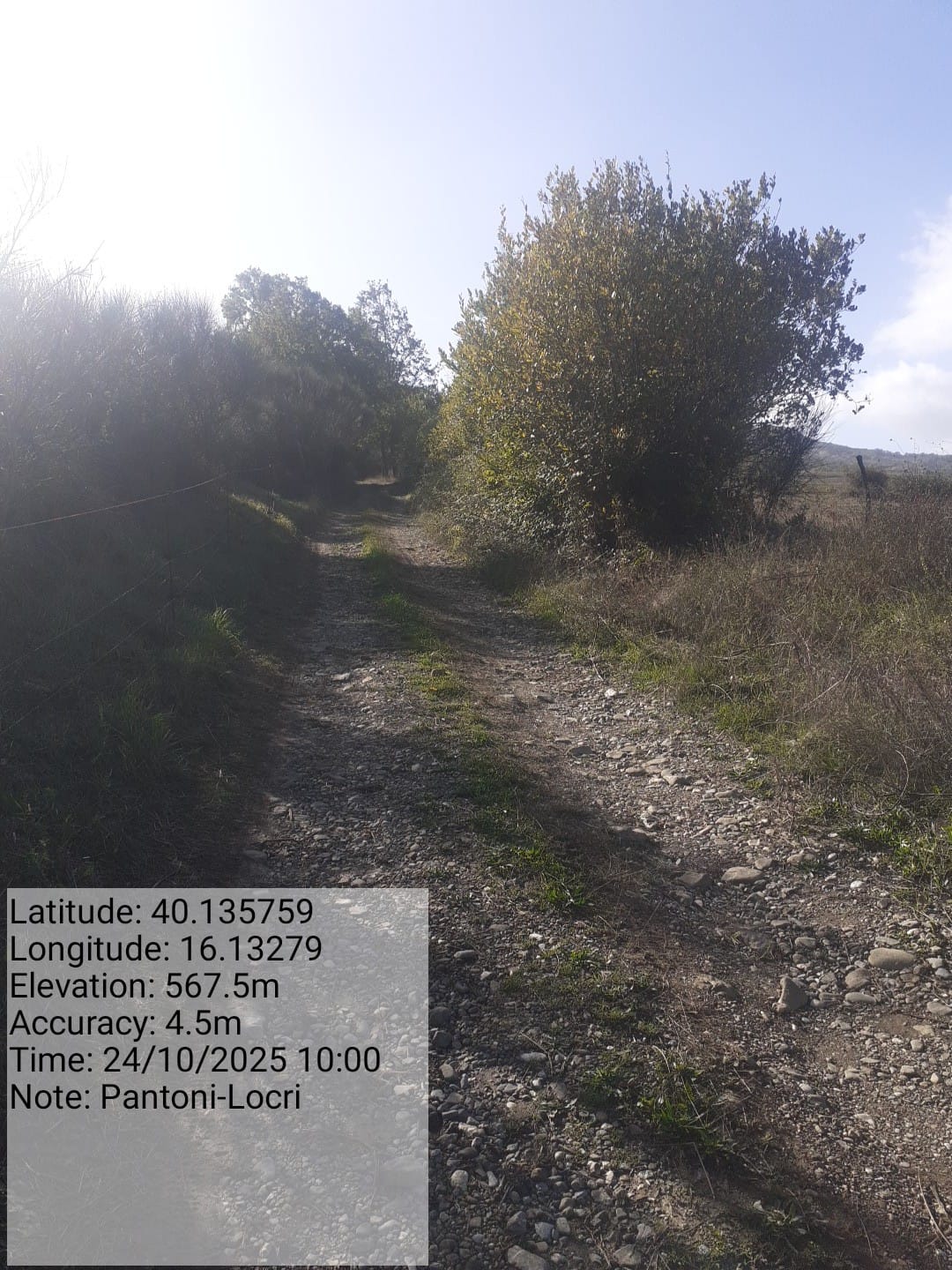 Galleria Fotografica Immagine