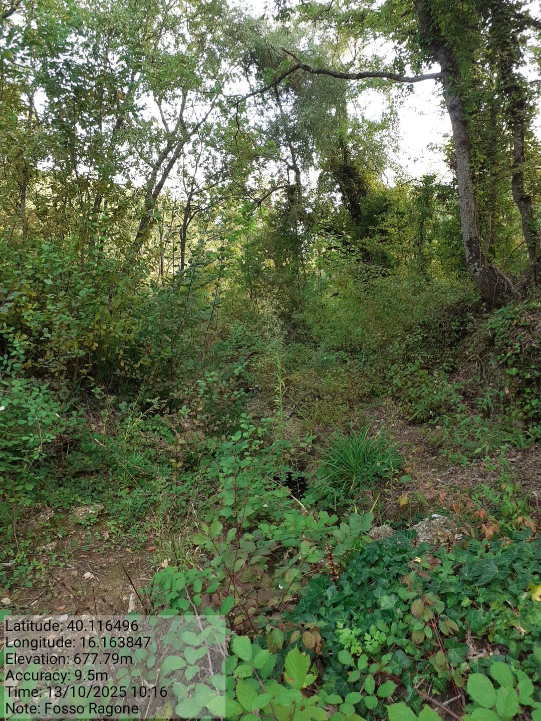 Galleria Fotografica Immagine