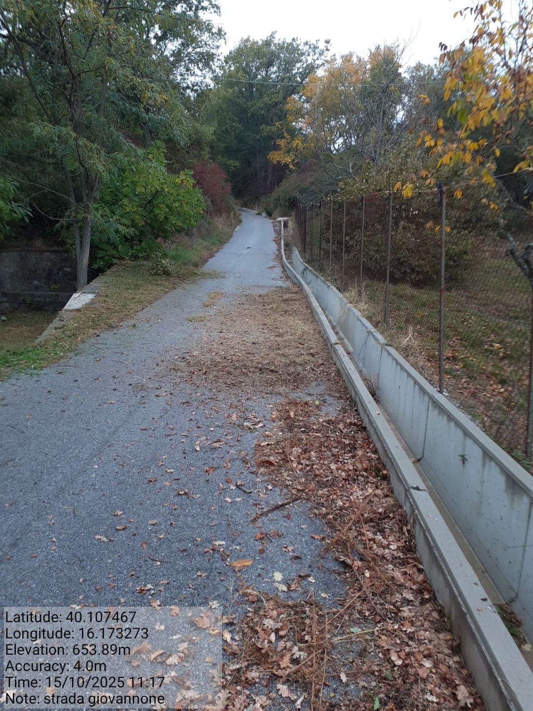 Galleria Fotografica Immagine