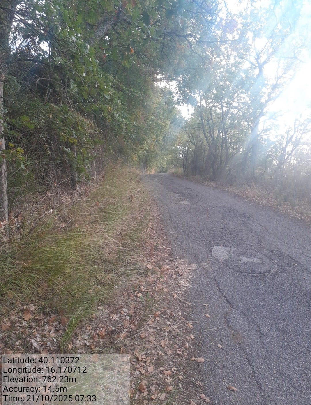 Galleria Fotografica Immagine