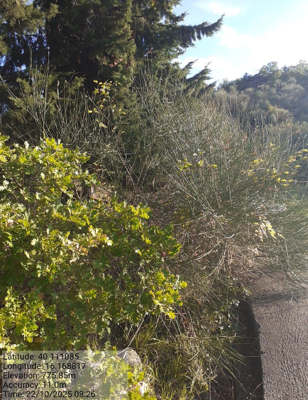 Galleria Fotografica Immagine