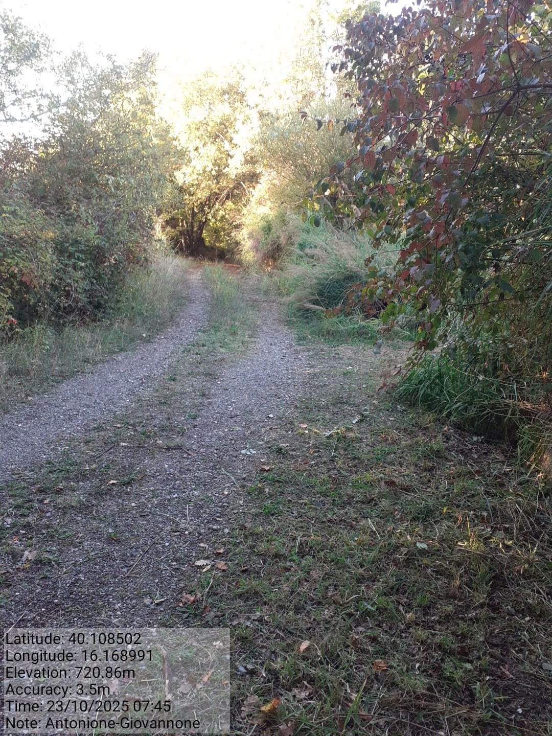 Galleria Fotografica Immagine