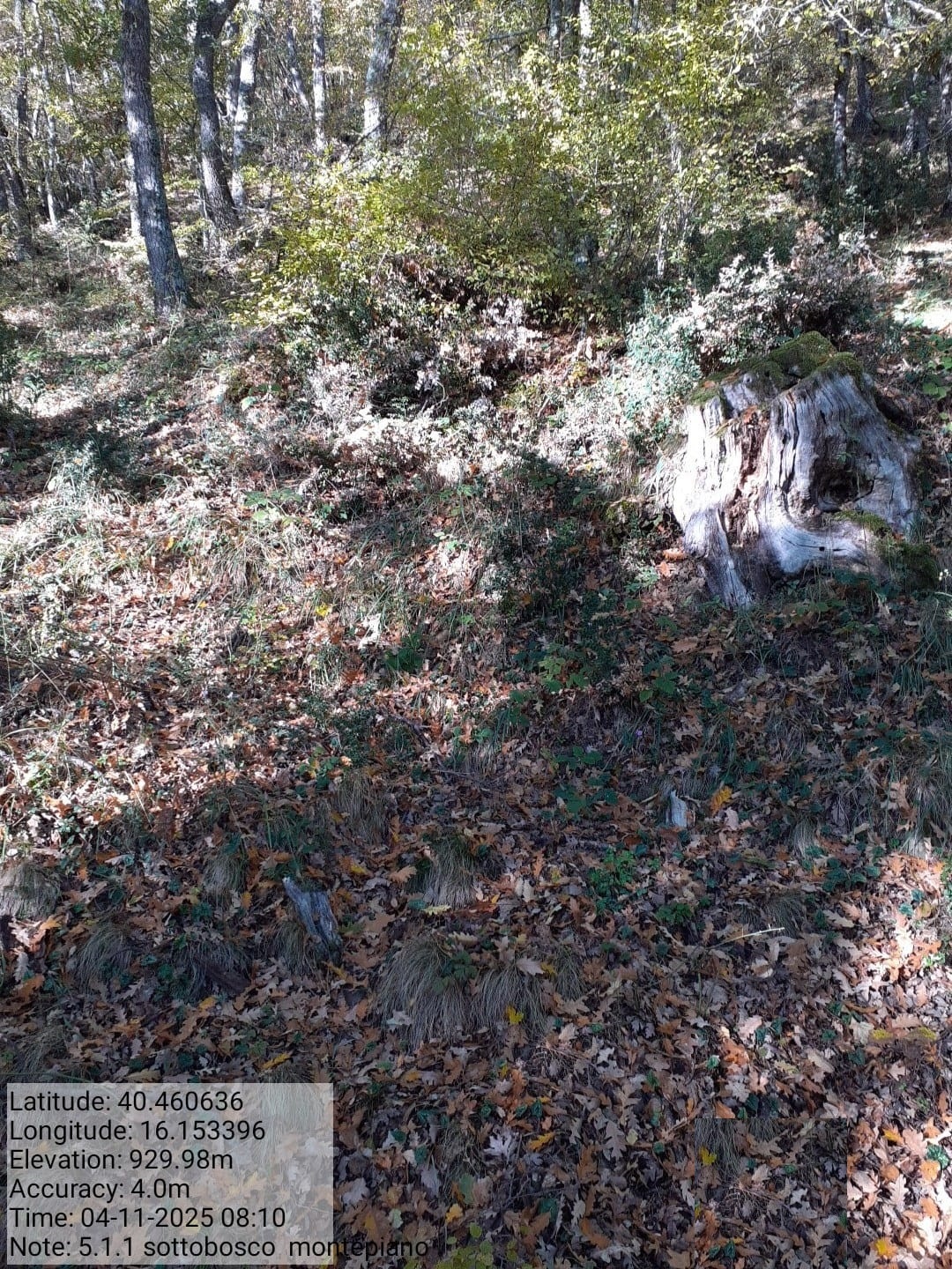 Galleria Fotografica Immagine