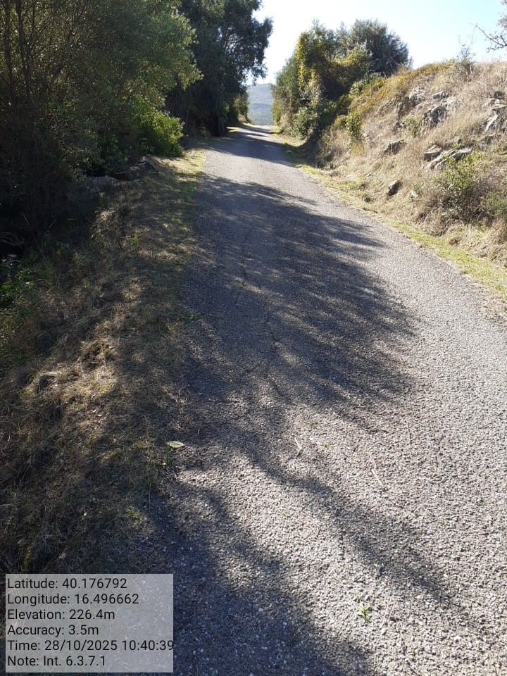 Galleria Fotografica Immagine