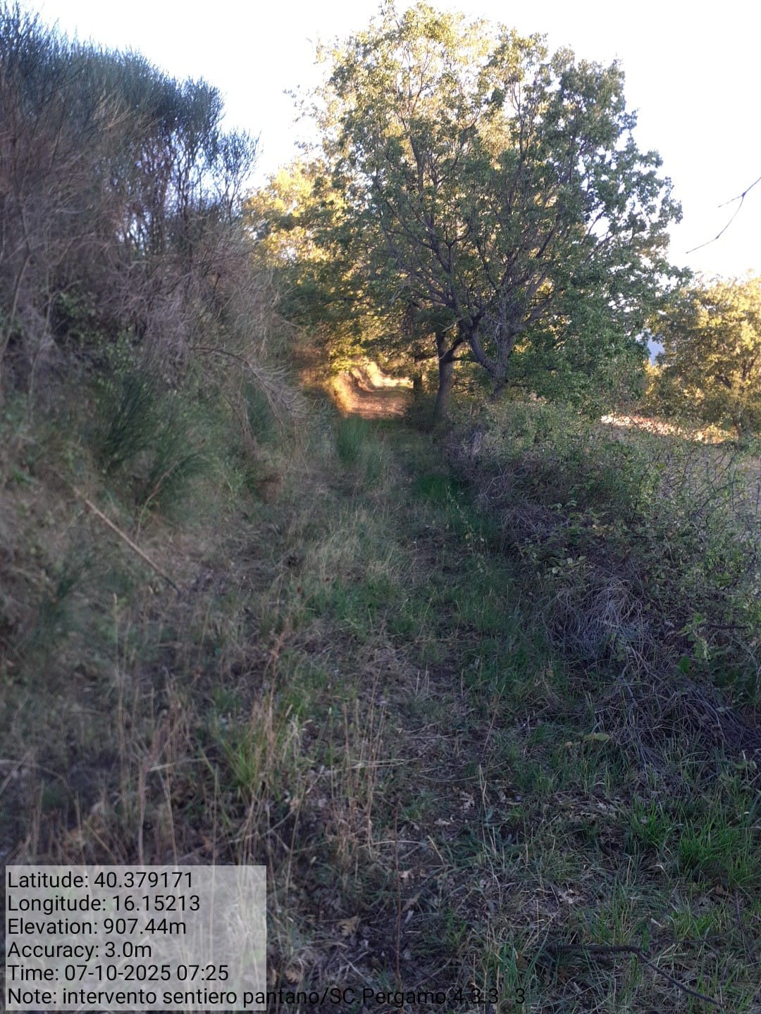 Galleria Fotografica Immagine