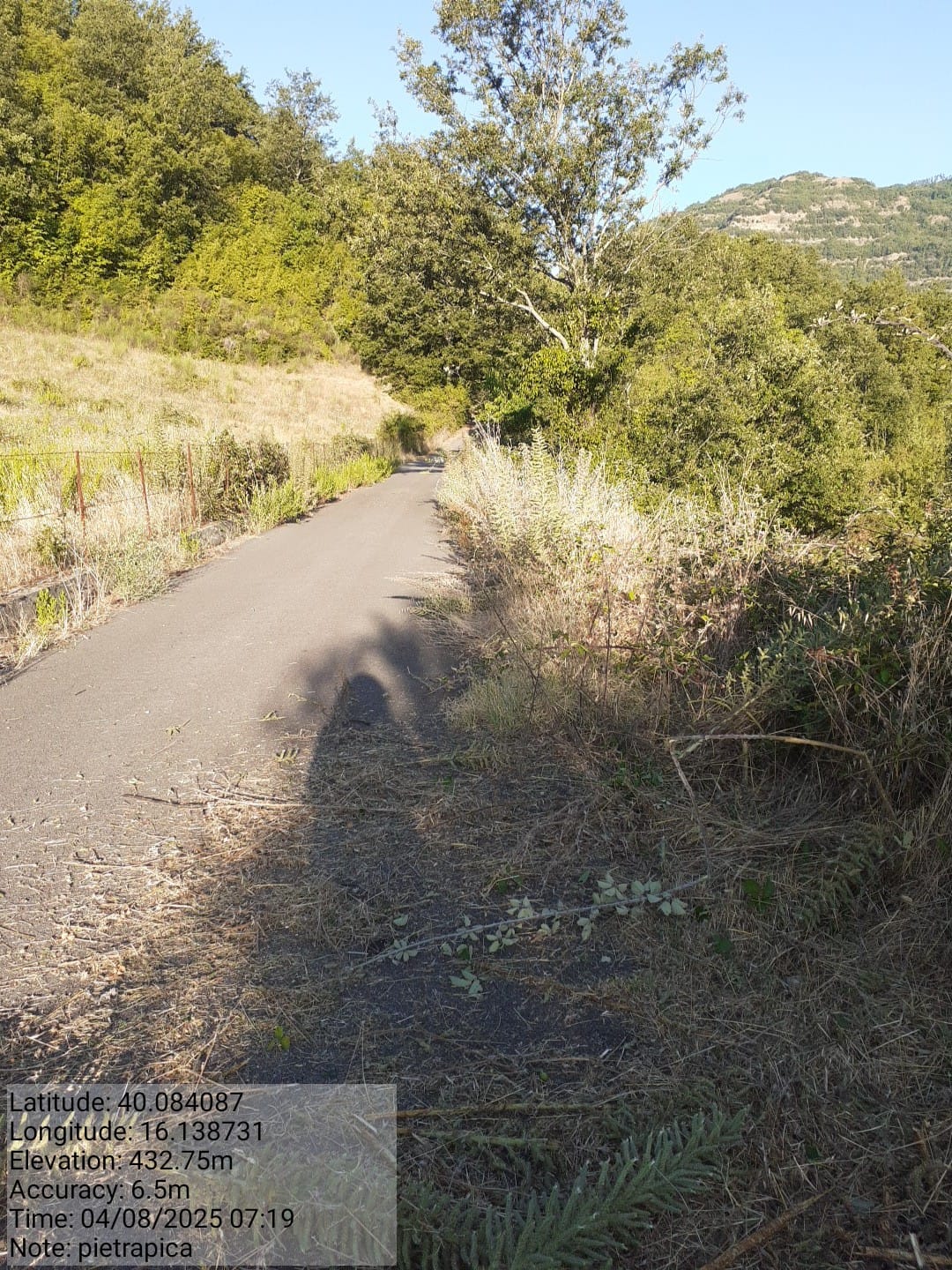 Galleria Fotografica Immagine