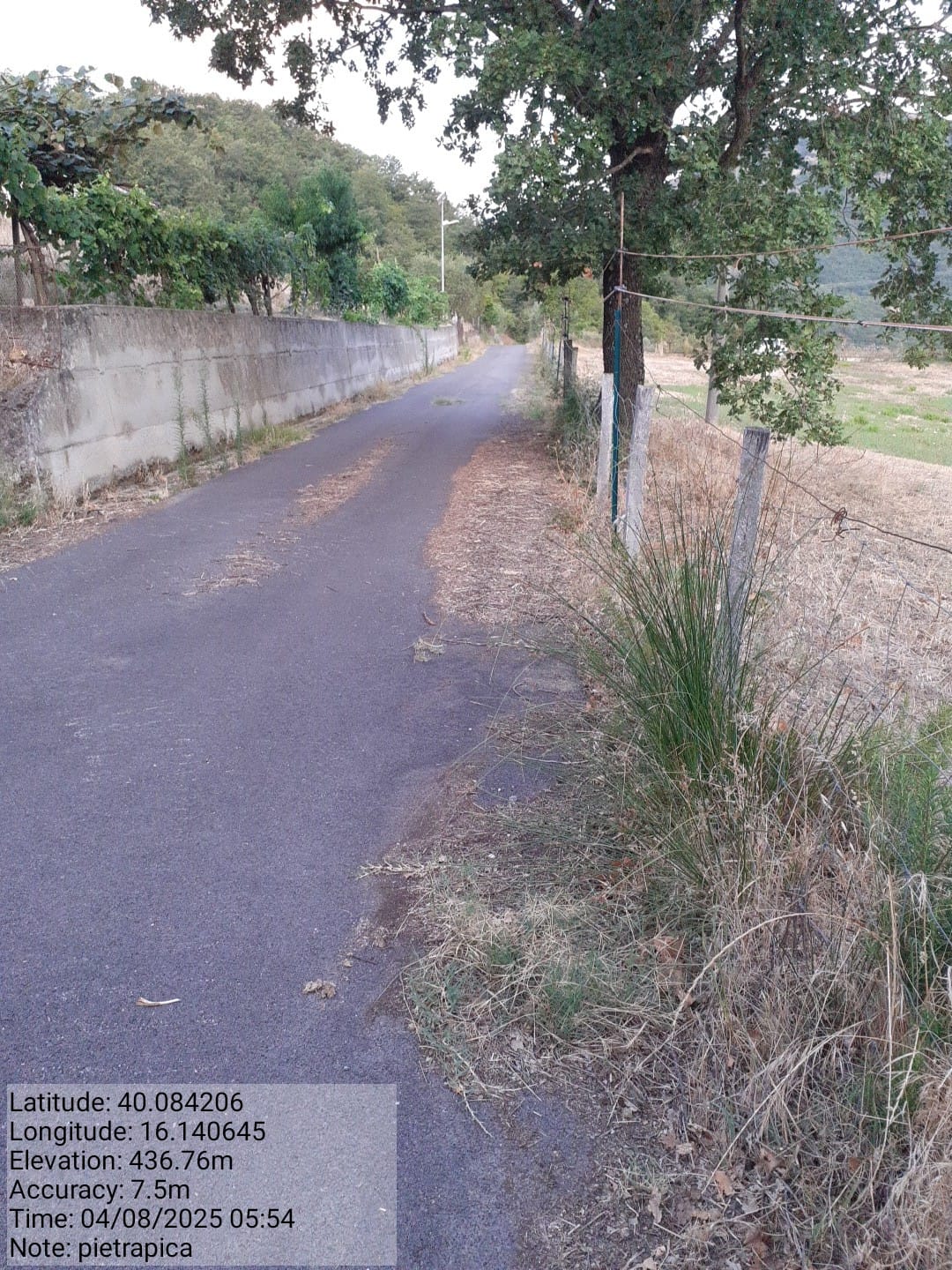 Galleria Fotografica Immagine