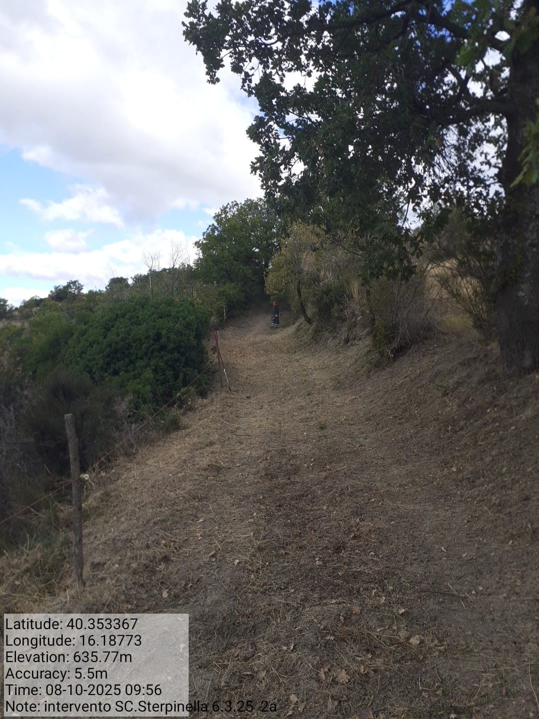 Galleria Fotografica Immagine