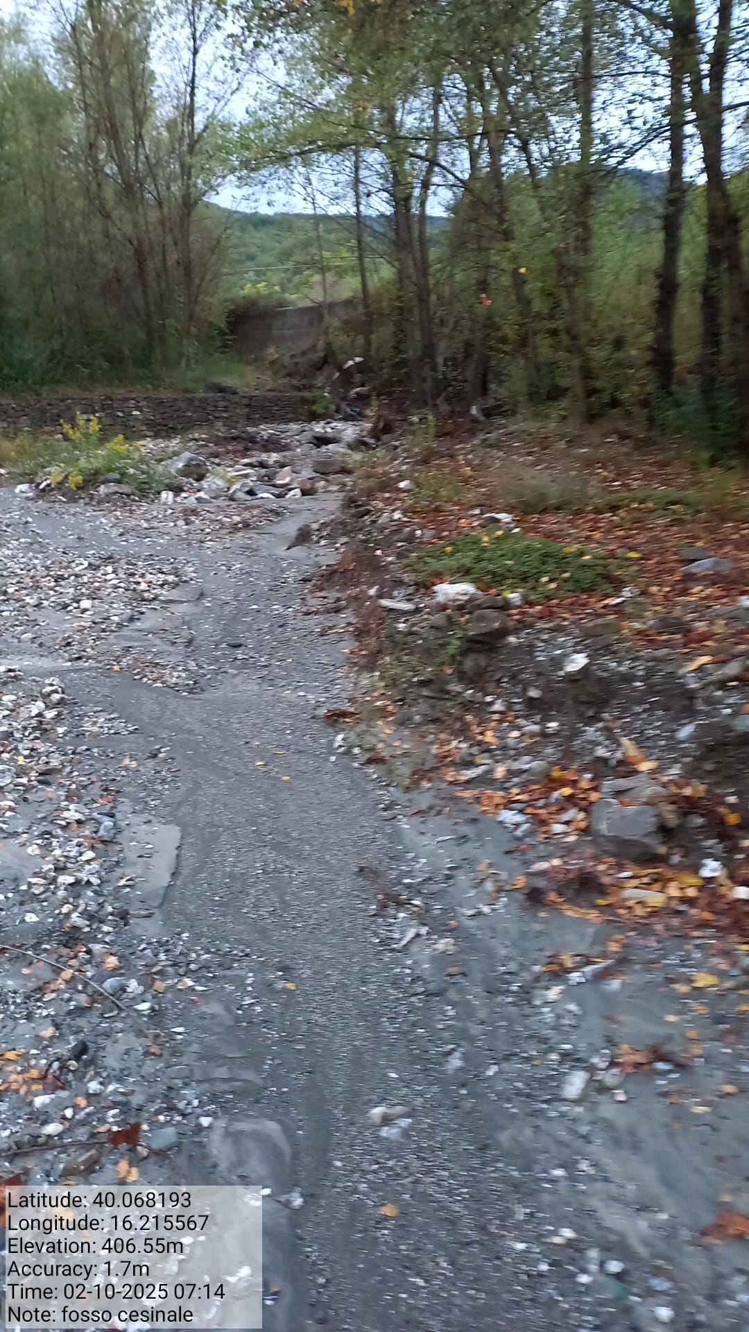 Galleria Fotografica Immagine