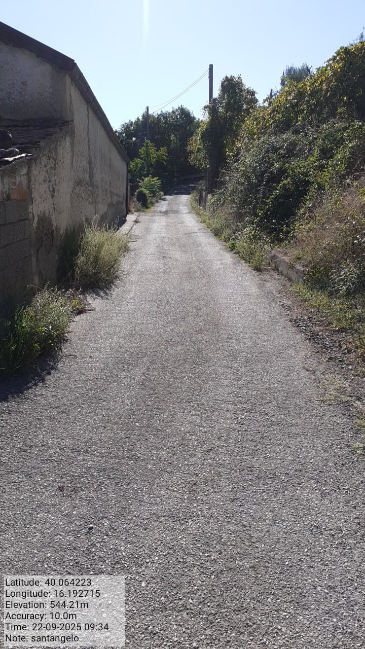 Galleria Fotografica Immagine