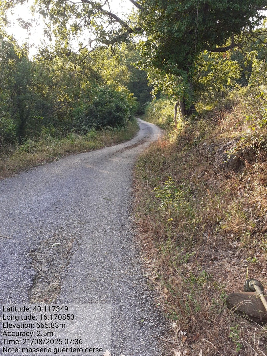 Galleria Fotografica Immagine