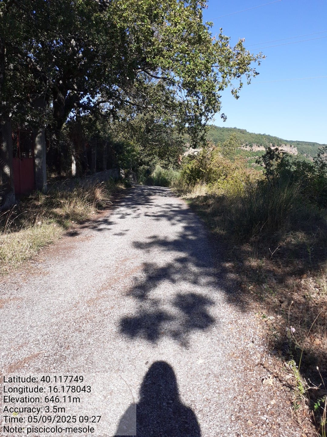 Galleria Fotografica Immagine