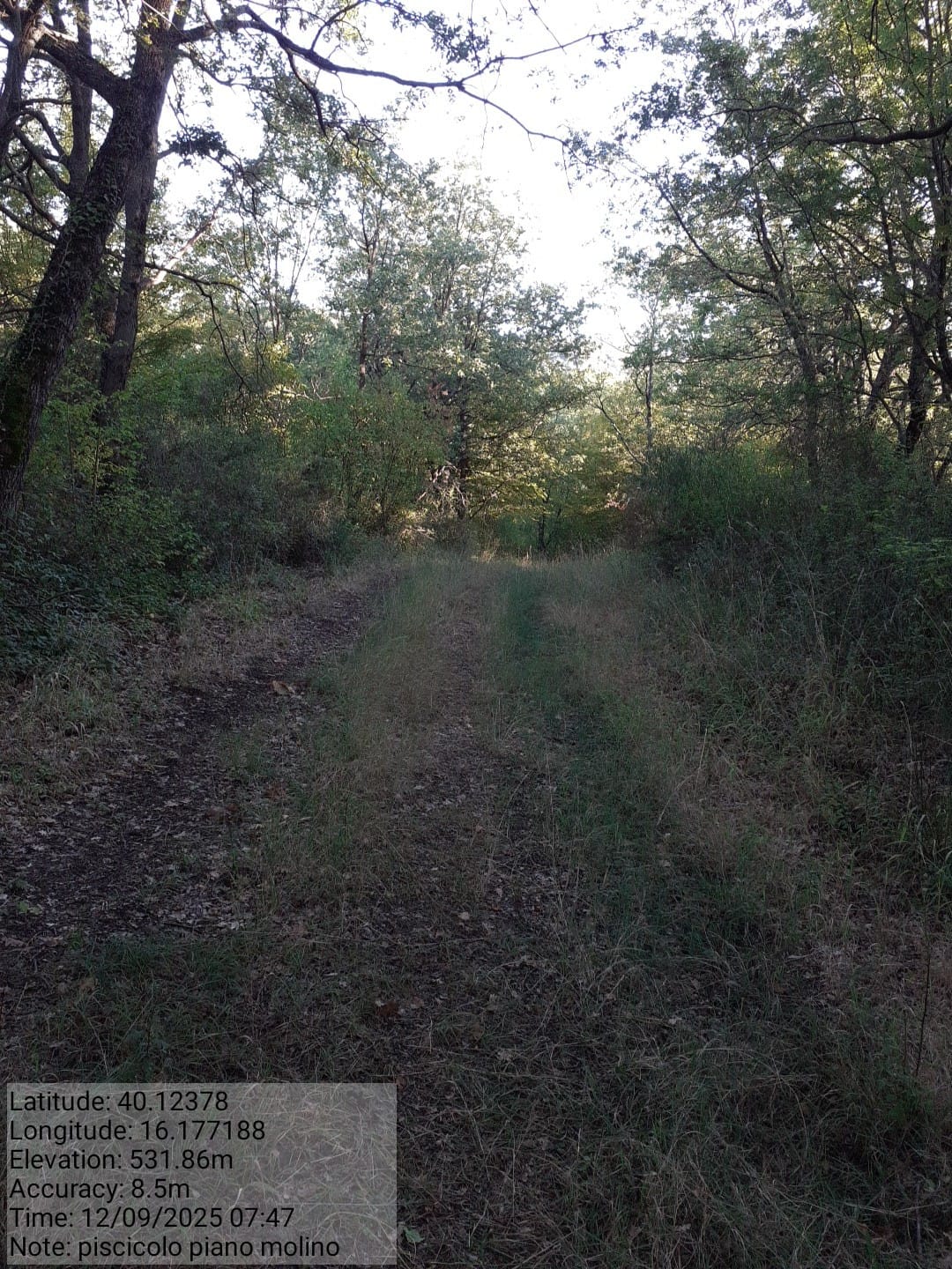 Galleria Fotografica Immagine