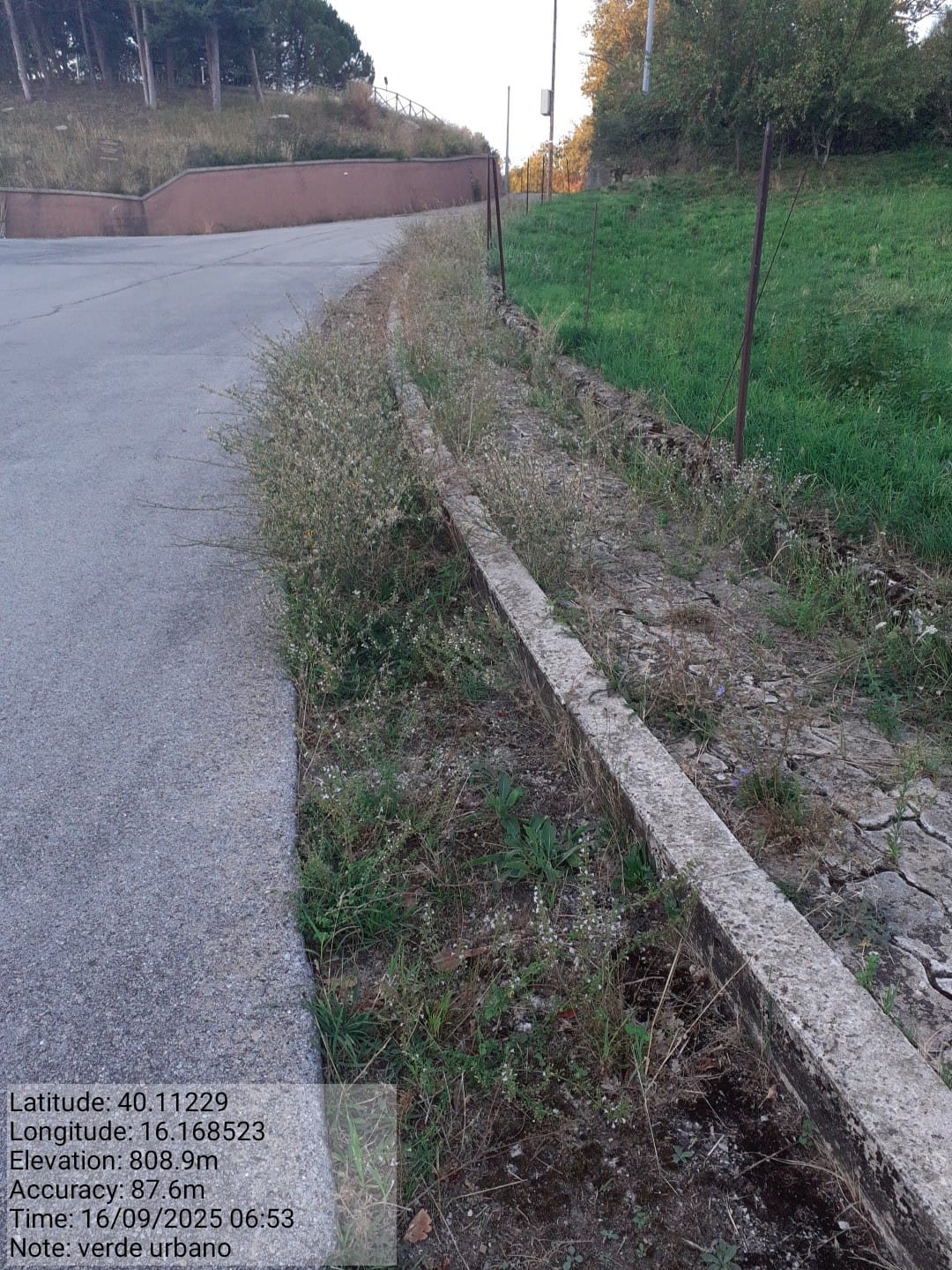 Galleria Fotografica Immagine