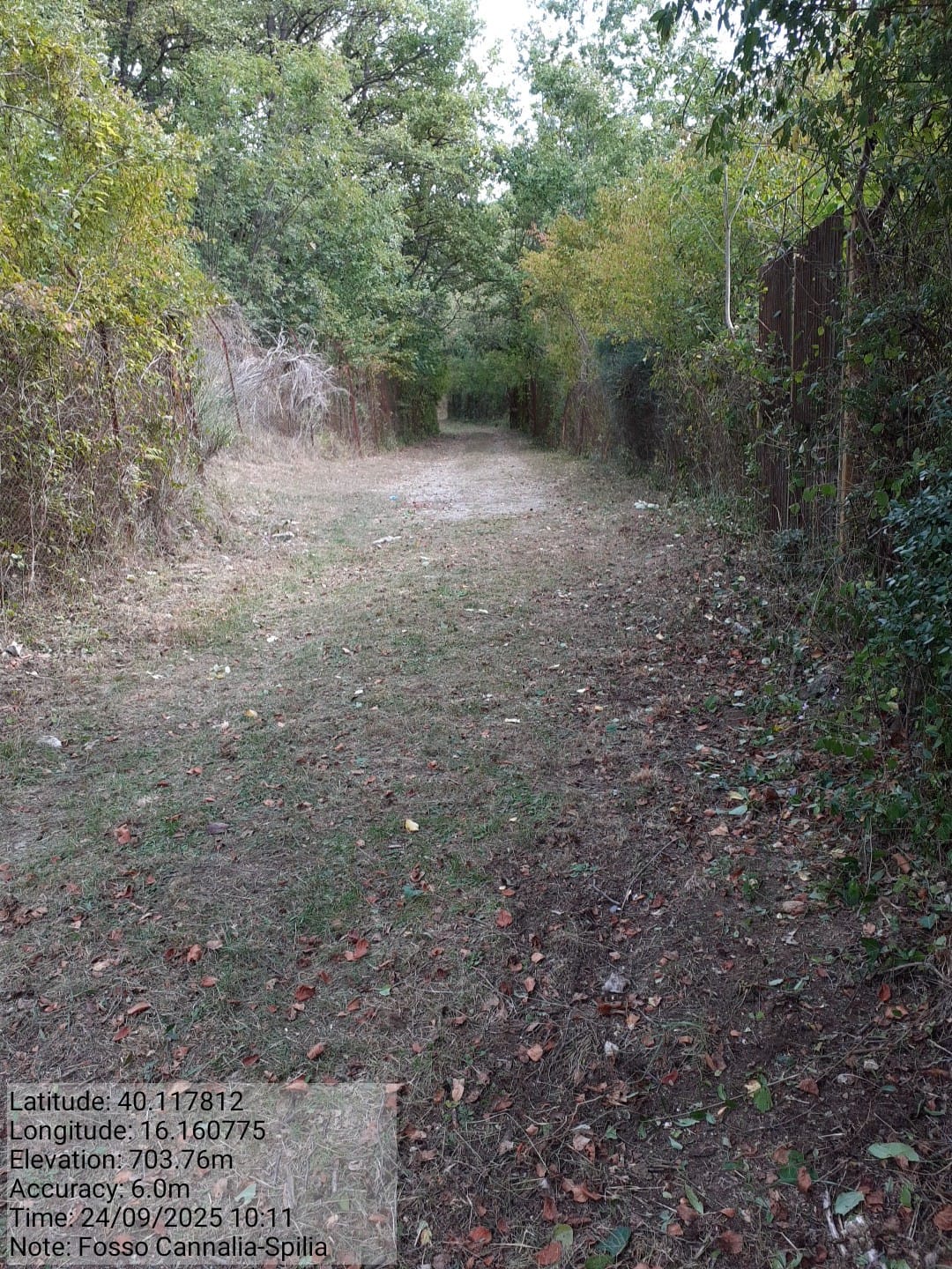 Galleria Fotografica Immagine