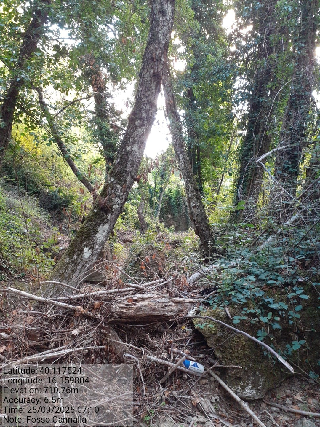 Galleria Fotografica Immagine