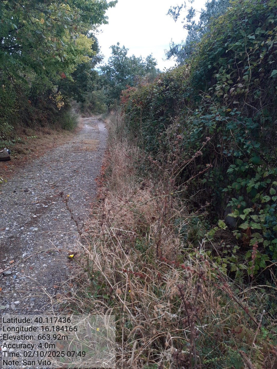 Galleria Fotografica Immagine