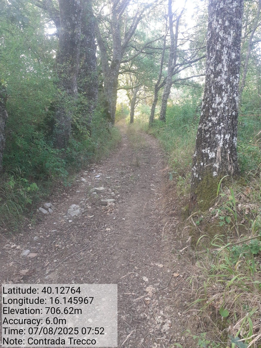 Galleria Fotografica Immagine