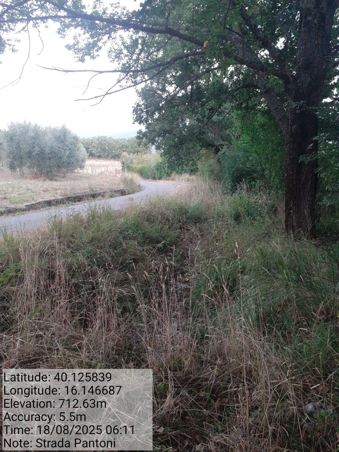 Galleria Fotografica Immagine