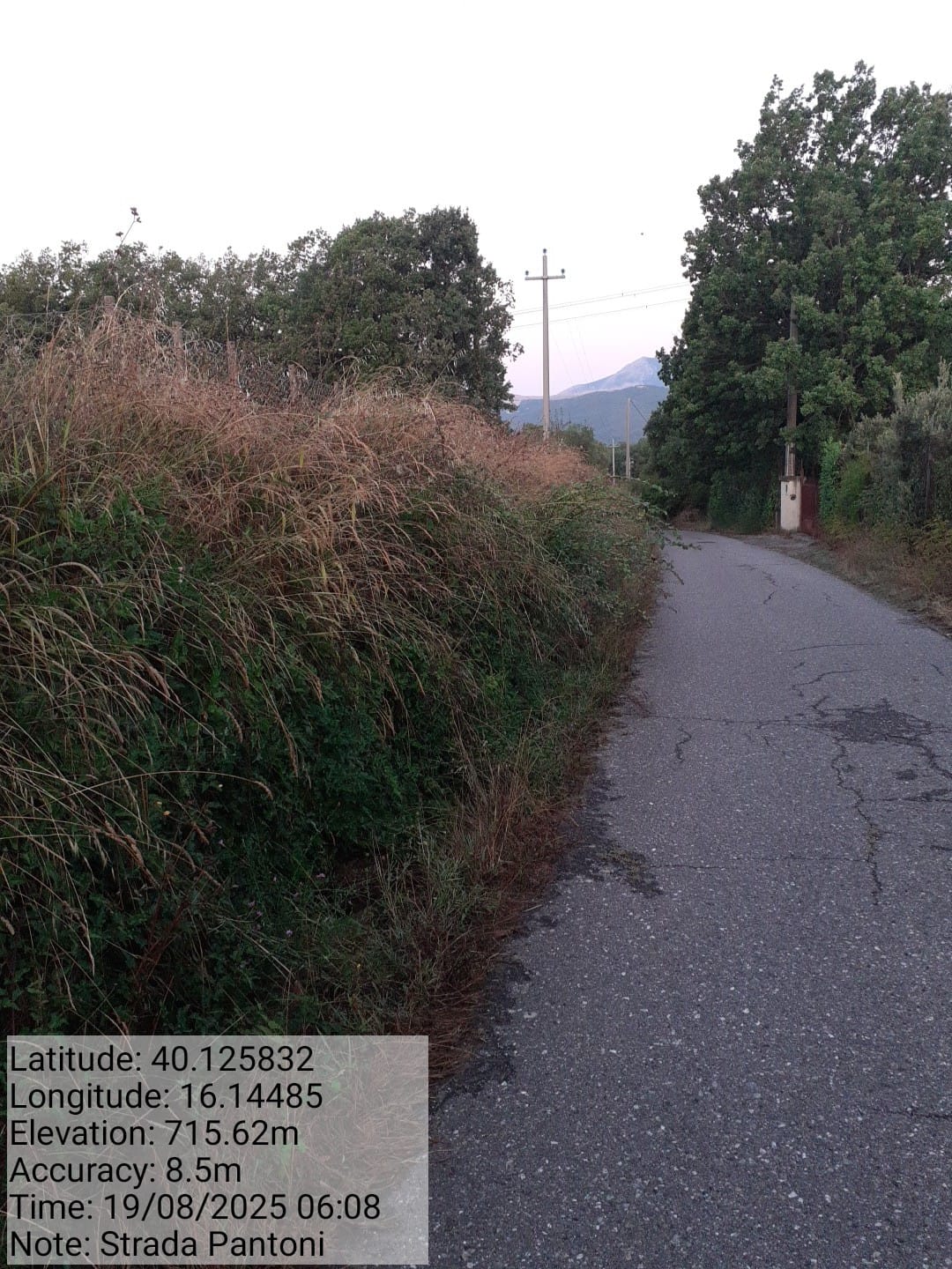 Galleria Fotografica Immagine