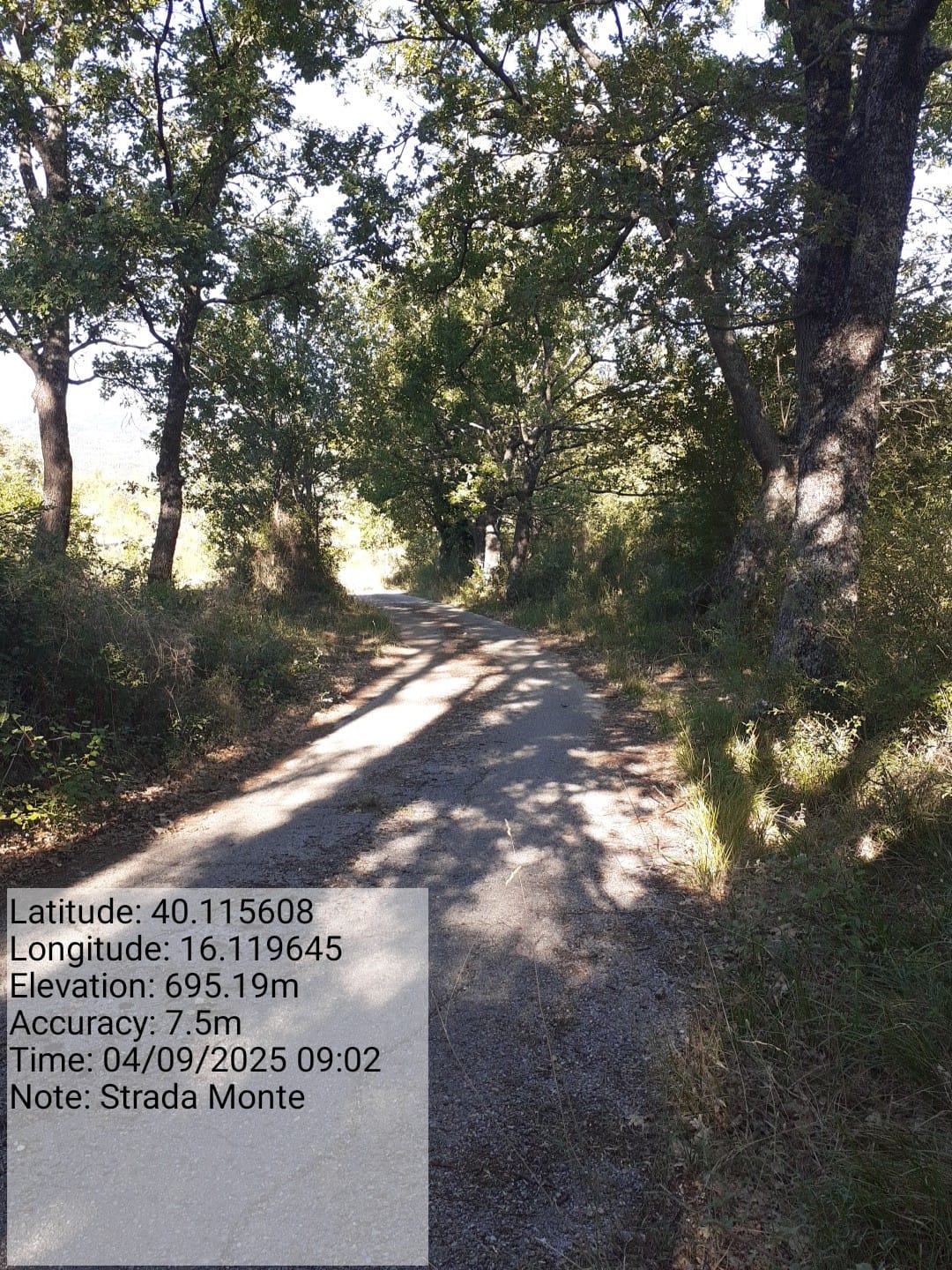 Galleria Fotografica Immagine