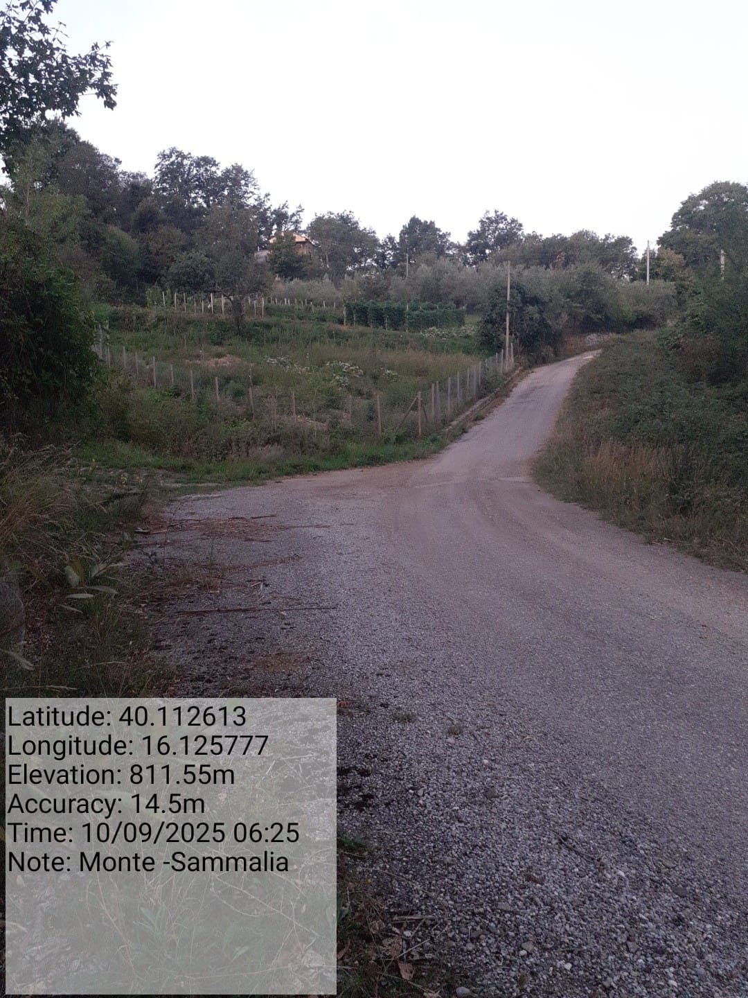 Galleria Fotografica Immagine