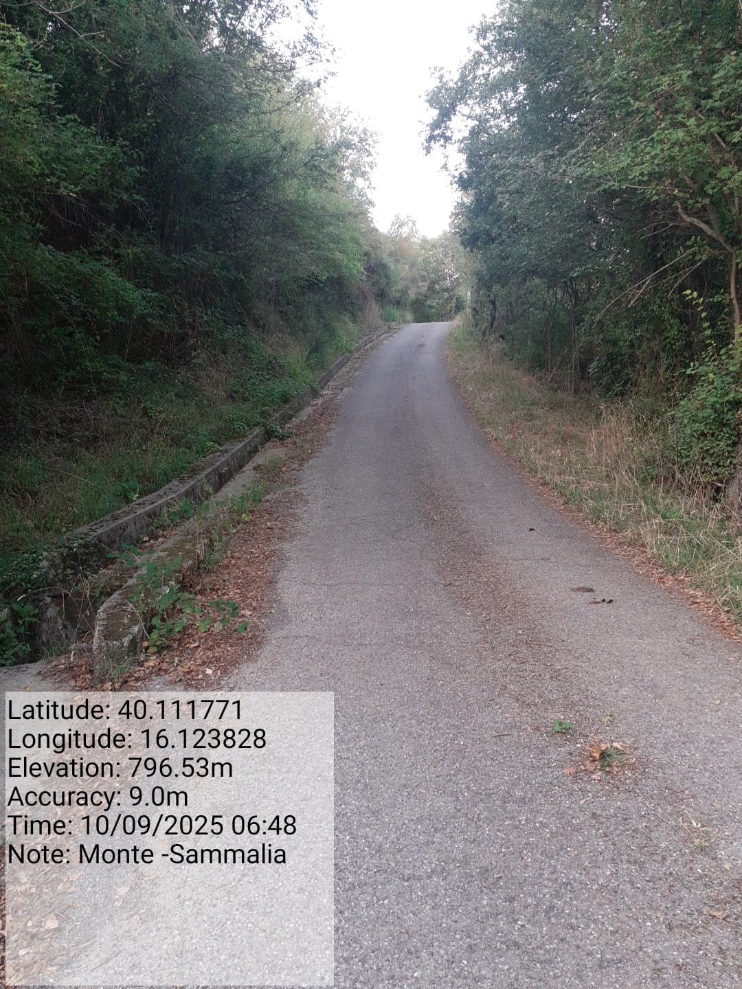 Galleria Fotografica Immagine