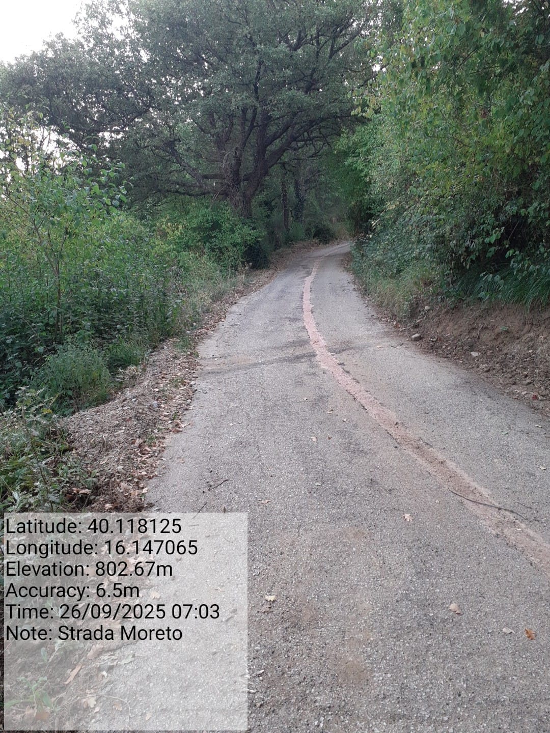 Galleria Fotografica Immagine