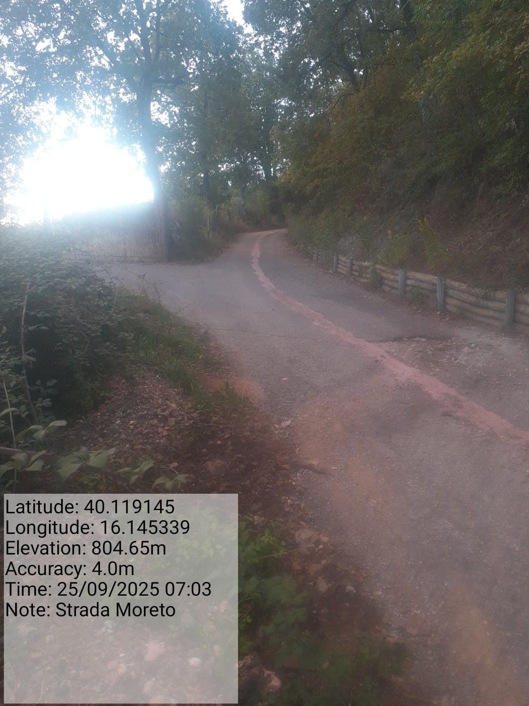 Galleria Fotografica Immagine