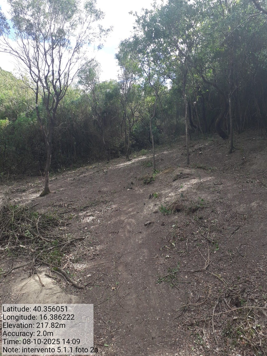 Galleria Fotografica Immagine