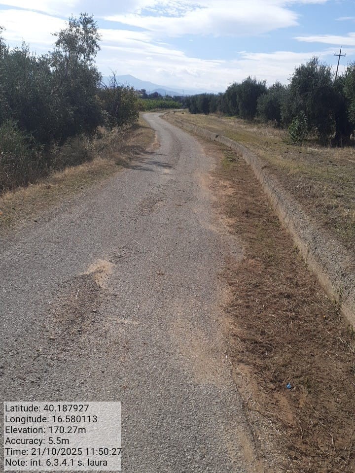 Galleria Fotografica Immagine