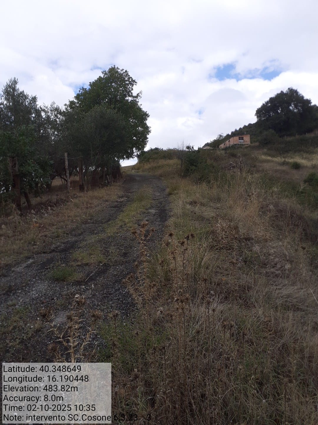 Galleria Fotografica Immagine