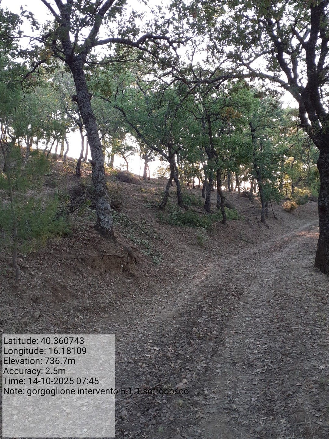 Galleria Fotografica Immagine