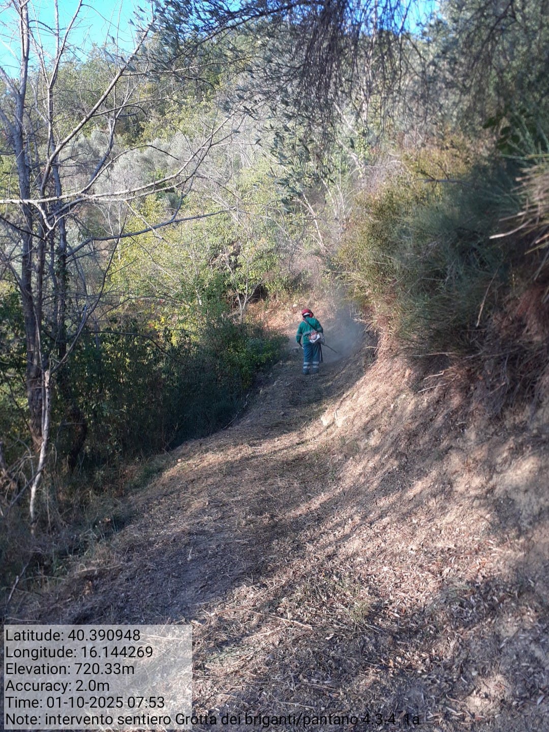 Galleria Fotografica Immagine