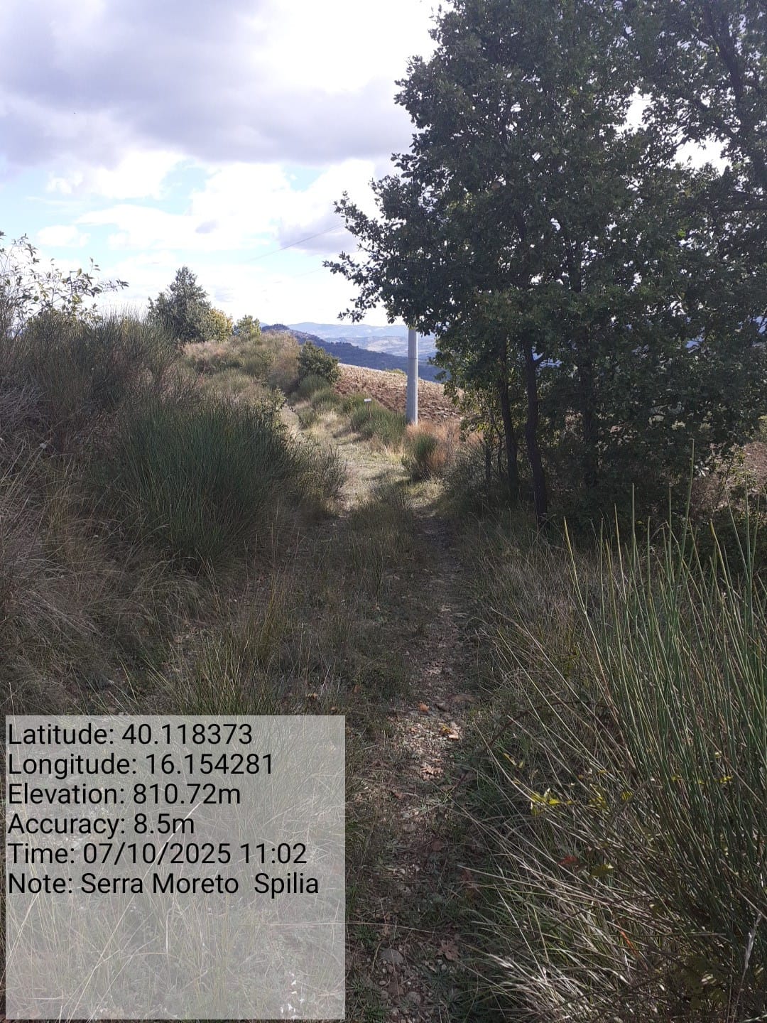 Galleria Fotografica Immagine