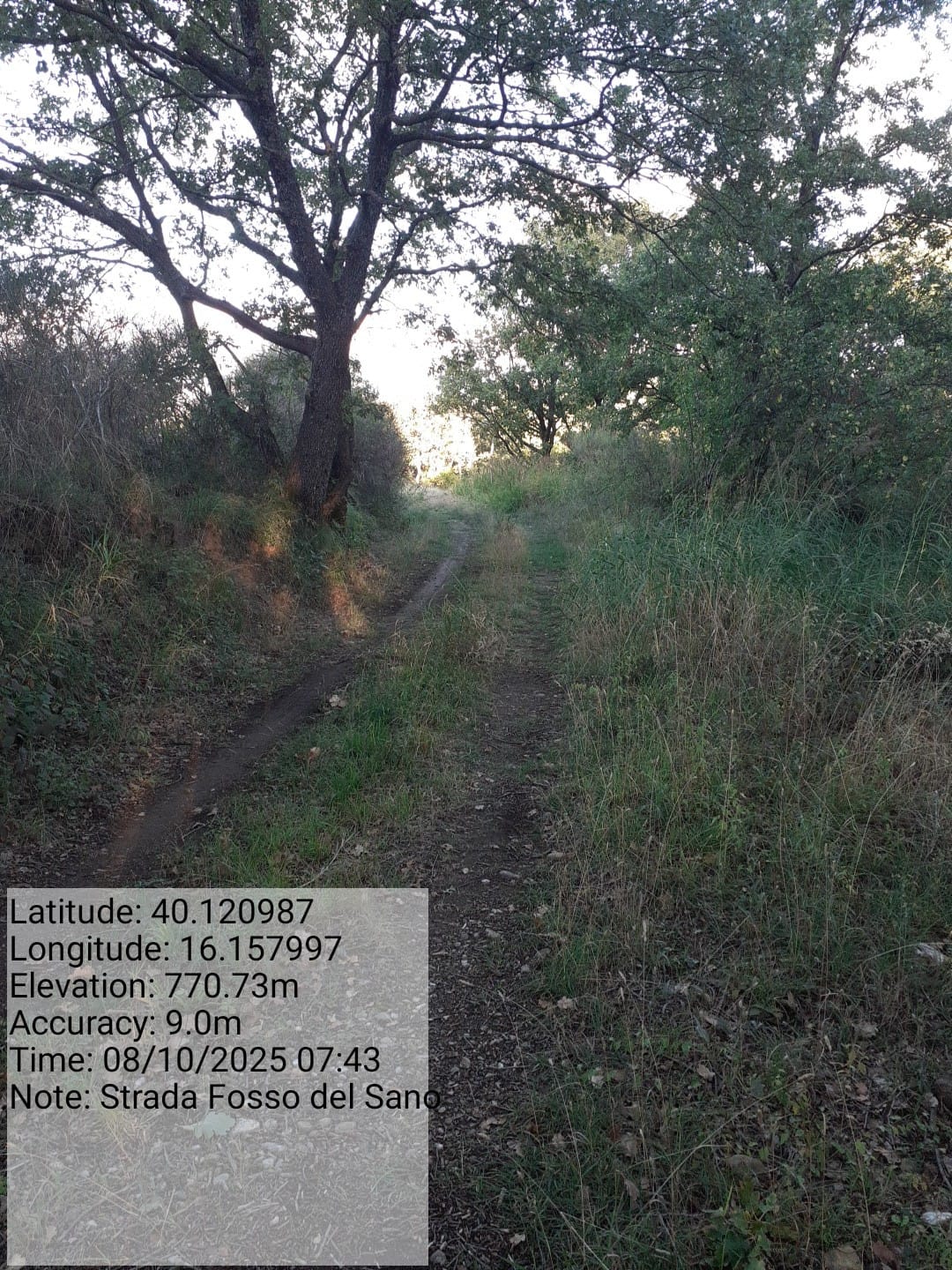 Galleria Fotografica Immagine