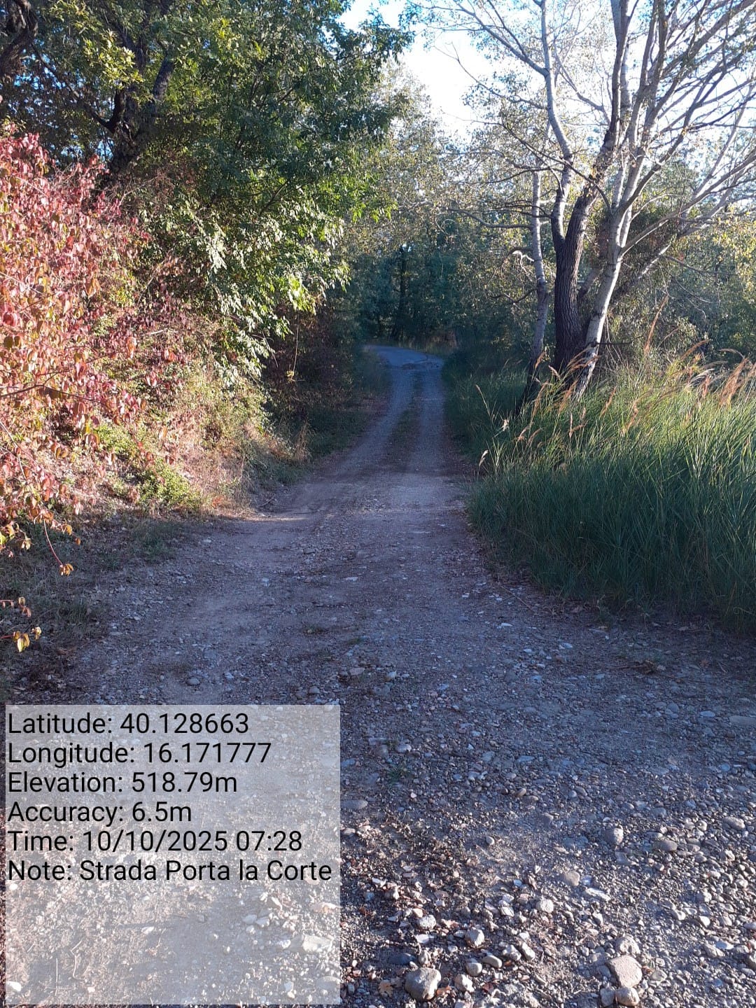 Galleria Fotografica Immagine