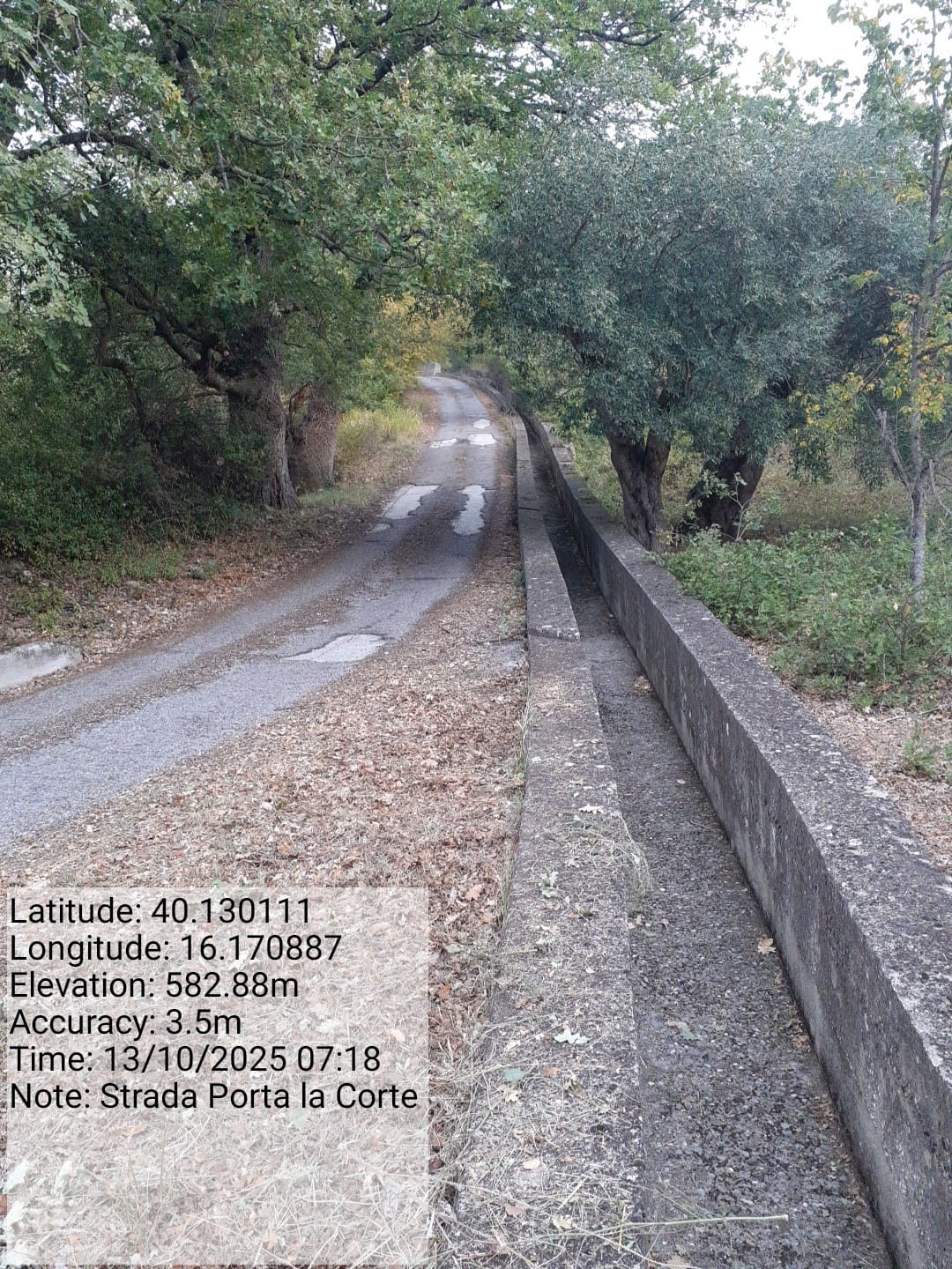 Galleria Fotografica Immagine