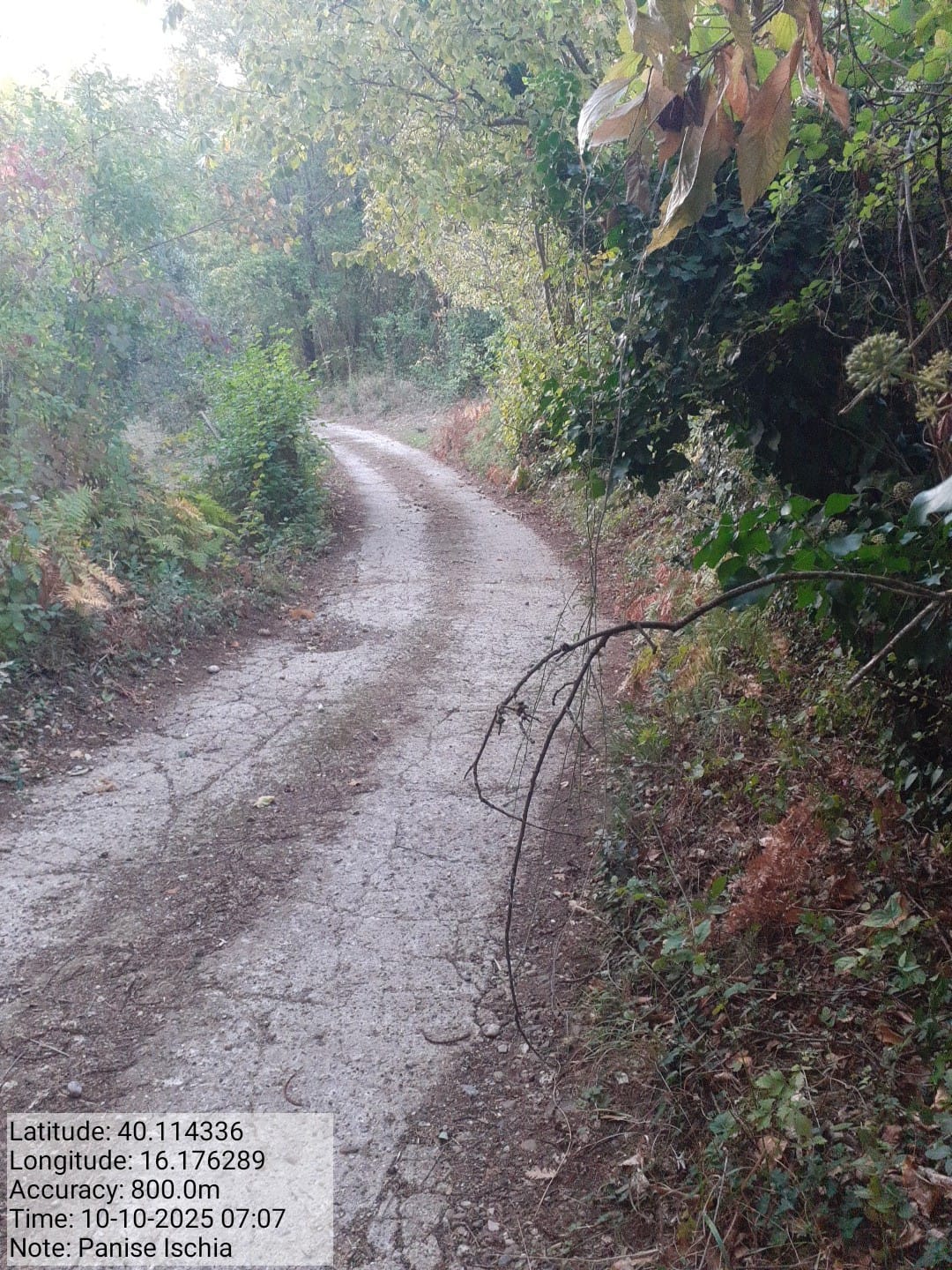 Galleria Fotografica Immagine