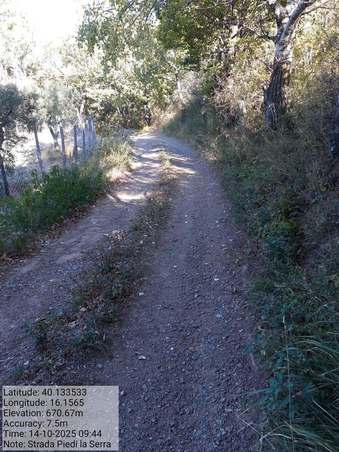 Galleria Fotografica Immagine