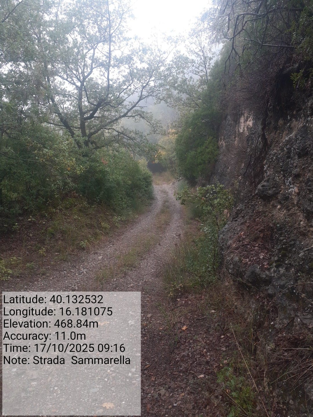 Galleria Fotografica Immagine