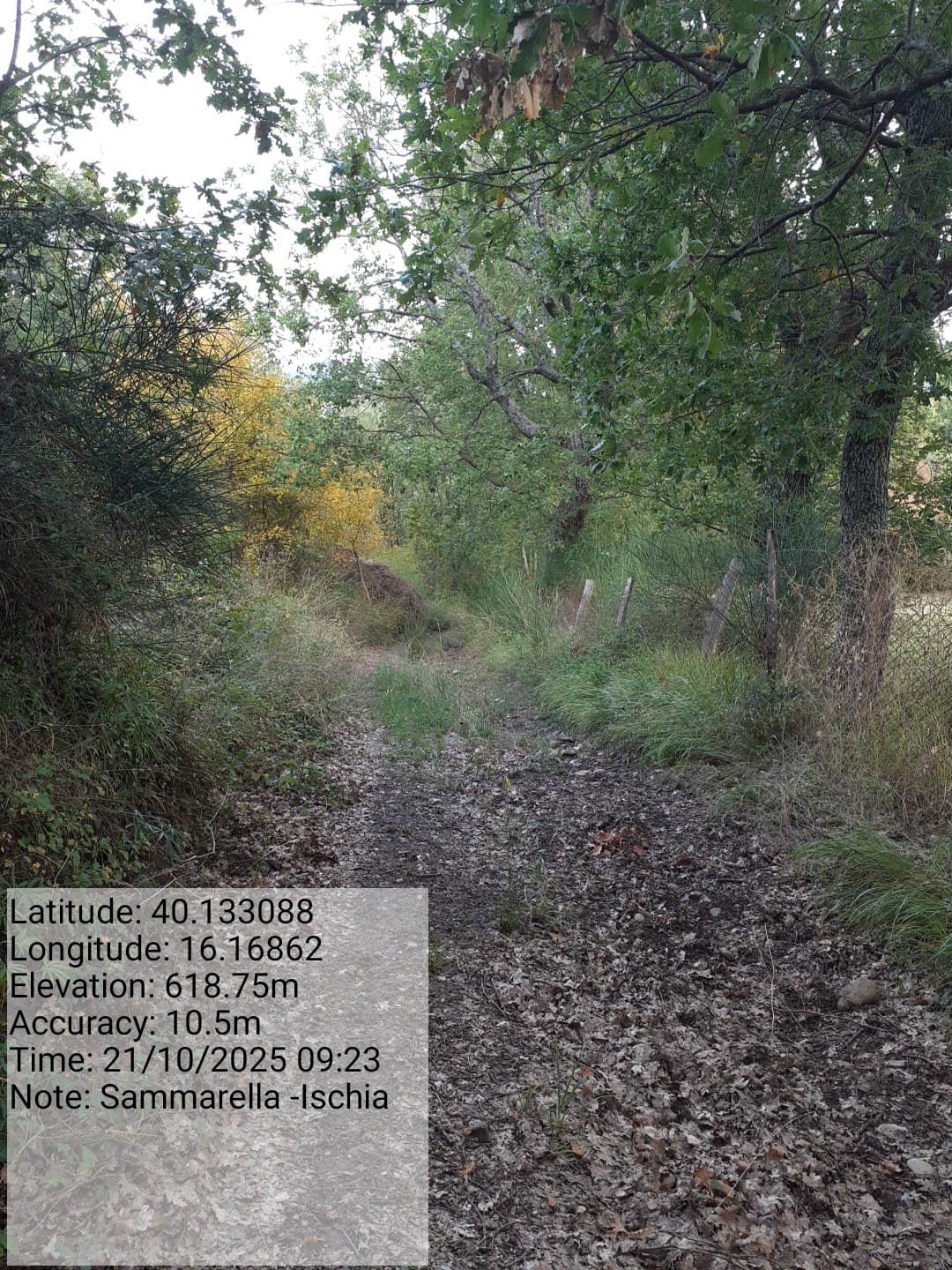 Galleria Fotografica Immagine