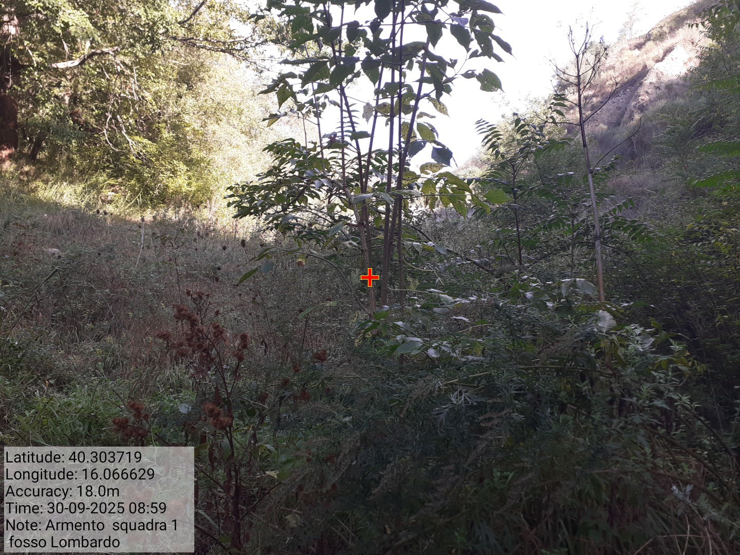 Galleria Fotografica Immagine