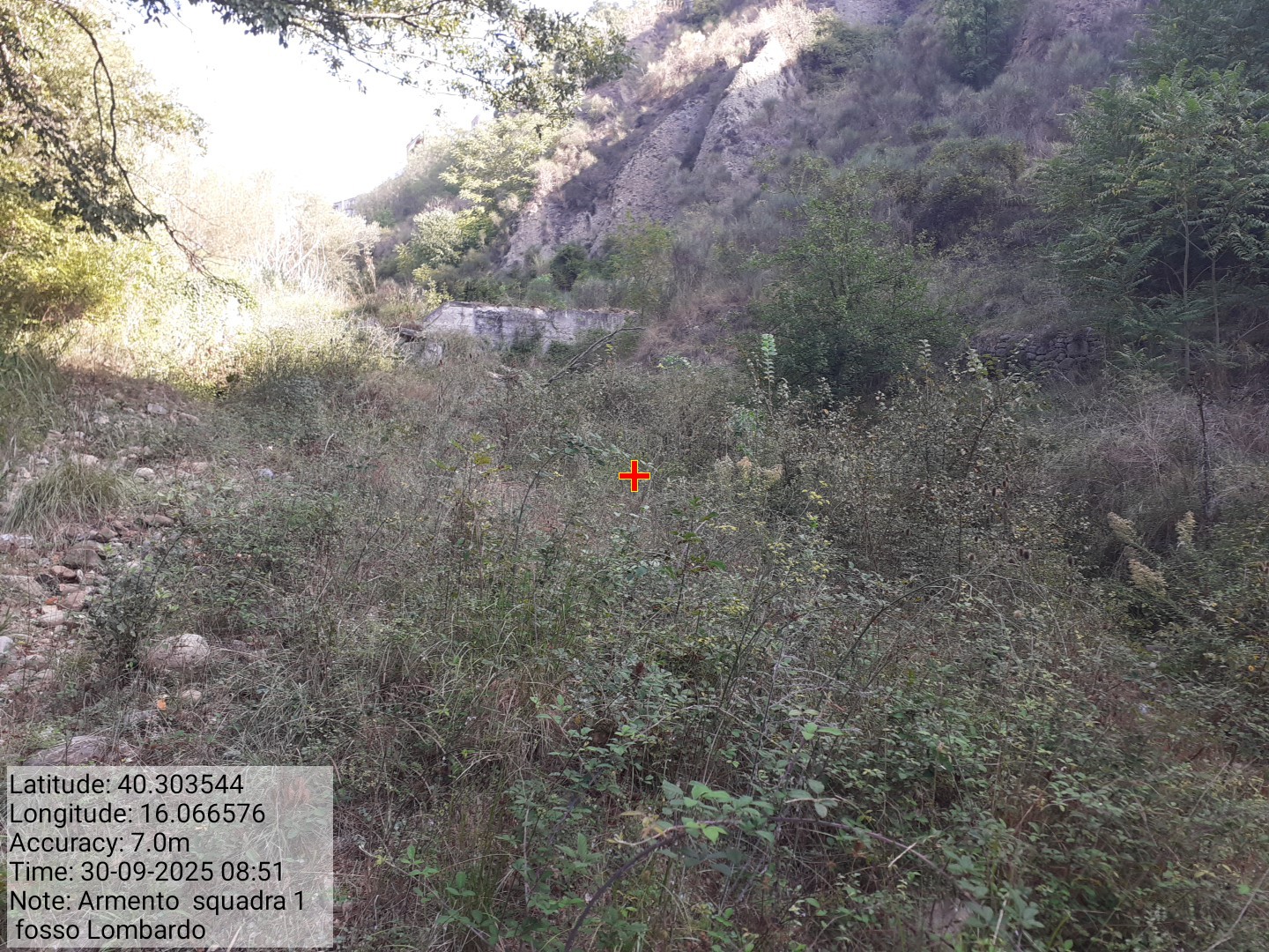 Galleria Fotografica Immagine