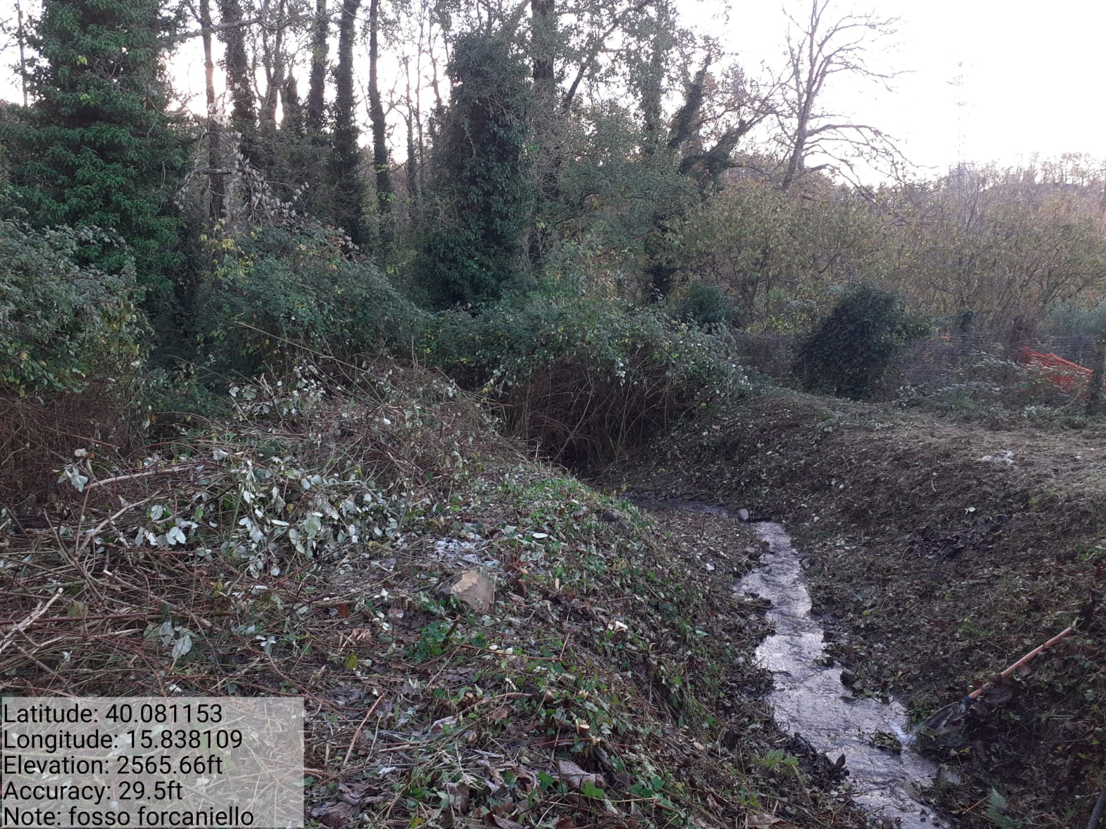 Galleria Fotografica Immagine