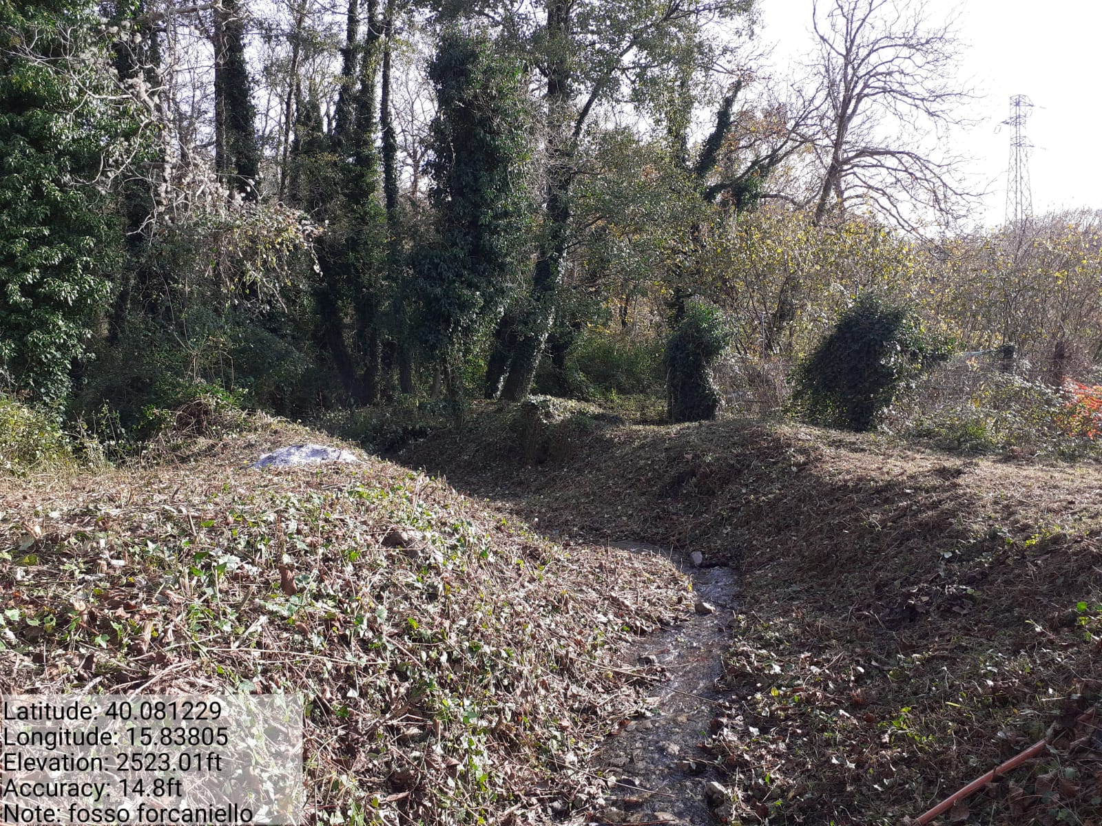 Galleria Fotografica Immagine